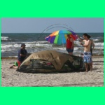 IMG_3526_900.jpg