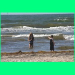 IMG_3527_900.jpg