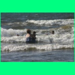 IMG_3530_900.jpg