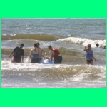 IMG_3555_900.jpg