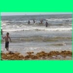 IMG_3556_900.jpg