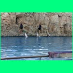 IMG_3665_900.jpg