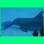 IMG_3694_900.jpg