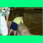 IMG_3708_900.jpg