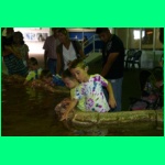 IMG_3709_900.jpg