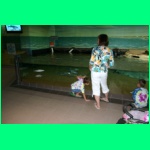 IMG_3756_900.jpg
