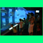 IMG_3764_900.jpg