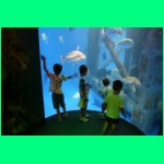 IMG_3766_900.jpg