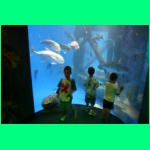 IMG_3767_900.jpg