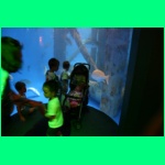 IMG_3769_900.jpg