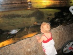 IMG_0785_900.jpg
