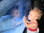 IMG_0794_900.jpg