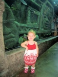 IMG_0796_900.jpg