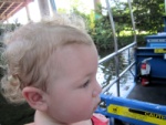 IMG_0816_900.jpg