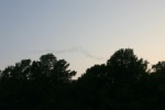 057cba_IMG_8008_900.jpg