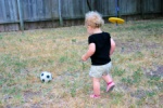 231cba_IMG_8107_900.jpg