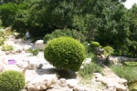 306cba_IMG_8168_900.jpg