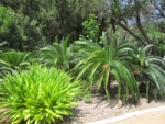 342cba_IMG_0973_900.jpg